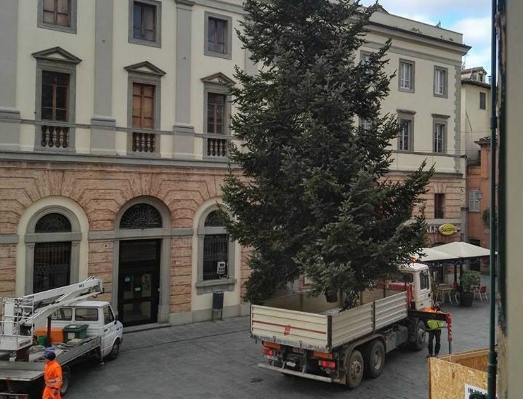 Arrivato in piazza Matteotti a Umbertide l'Albero di Natale - Alto Tevere Oggi