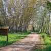 Al Tevere in bicicletta, aggiudicati i lavori delle piste ciclabili