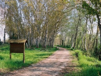 Al Tevere in bicicletta, aggiudicati i lavori delle piste ciclabili