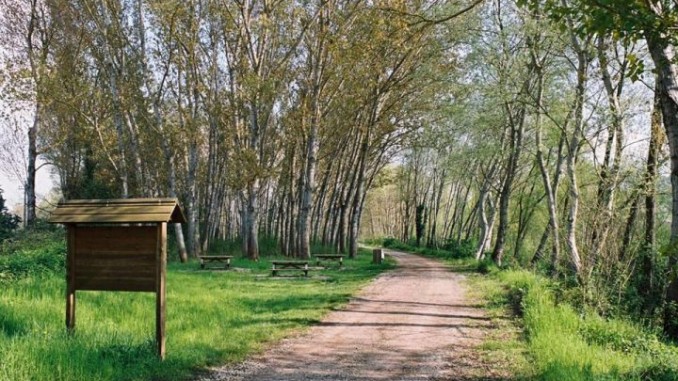 Al Tevere in bicicletta, aggiudicati i lavori delle piste ciclabili