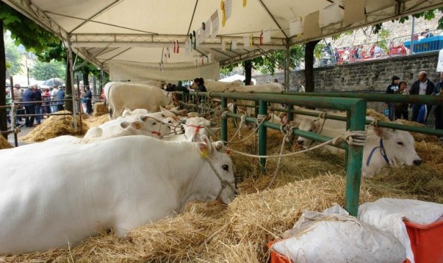 Fiera di san Bartolomeo, appuntamenti del weekend
