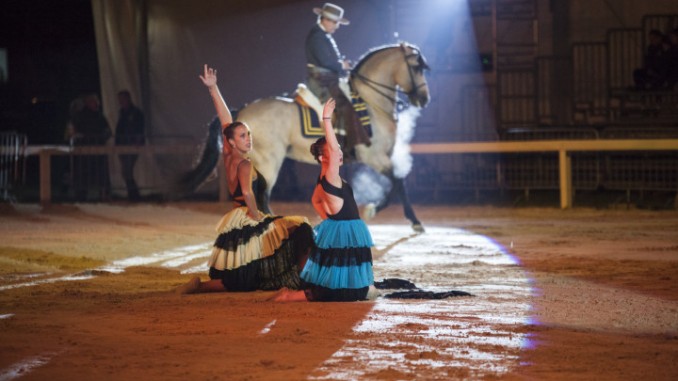 Apertura ufficiale Mostra del Cavallo, venerdì 11 settembre