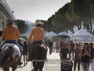 Mostra Nazionale del Cavallo 2015