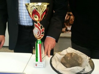 Pietralunga, premiato un tartufo di 312 grammi