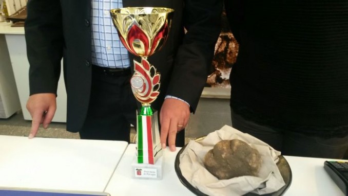 Pietralunga, premiato un tartufo di 312 grammi