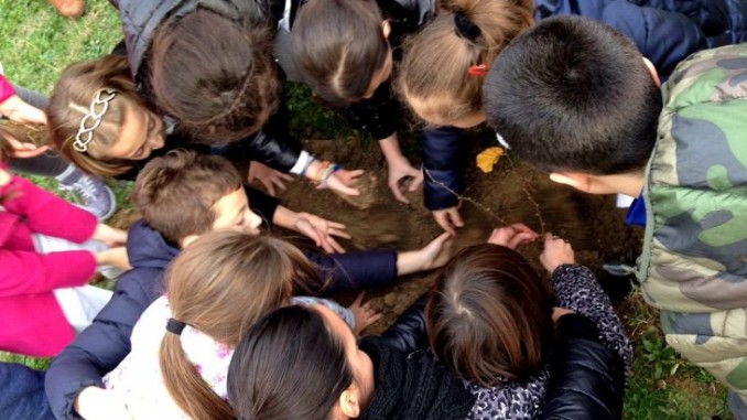 Festa dell'albero, un bosco per la città