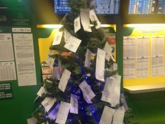 Ticket vincenti alle corse dei cavalli a Città di Castello albero Natale