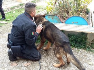 Droga, controlli carabinieri in scuole Città di Castello