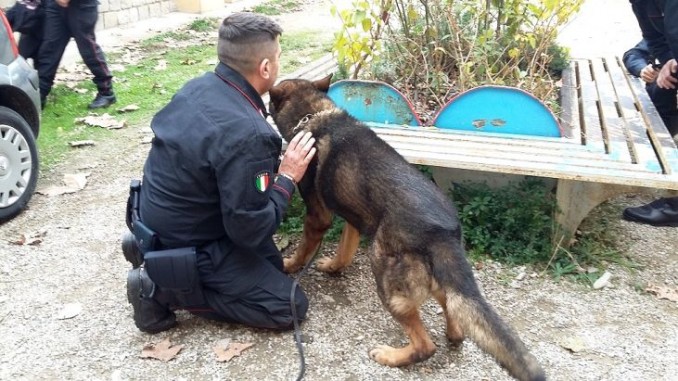 Droga, controlli carabinieri in scuole Città di Castello