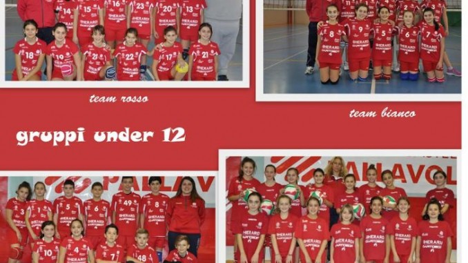 Gherardi Cartoedit, voglia di pallavolo a livello giovanile Il club biancorosso ha iscritto ai tornei di riferimento per la stagione 2015/2016 ben quattro squadre