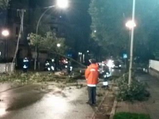 Danni causati dal maltempo, interventi della Polizia Municipale