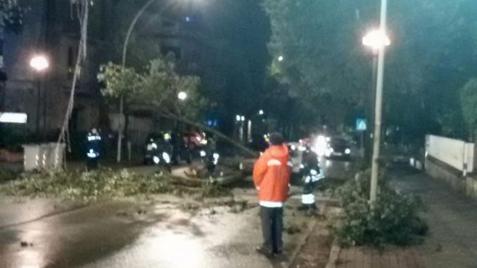 Danni causati dal maltempo, interventi della Polizia Municipale
