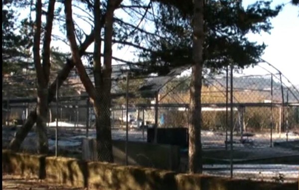 Umbertide cambia, confronto a tutto campo sulla moschea, nessuno escluso