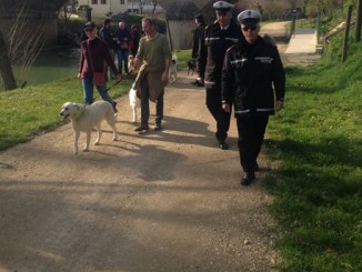 Esche avvelenate, iniziativa "mob dog" per sensibilizzare il problema