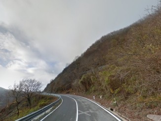 Carabinieri investono cinghiale a Bocca Trabaria