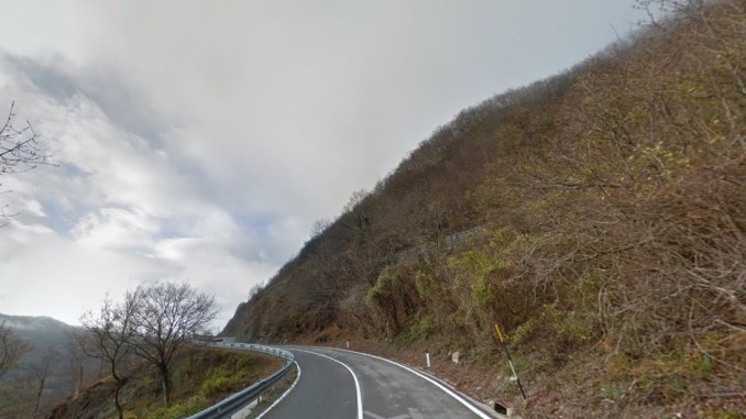 Carabinieri investono cinghiale a Bocca Trabaria