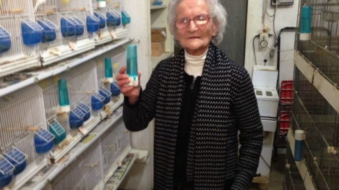 Luisa Zappitelli è l'allevatrice più anziana di canarini
