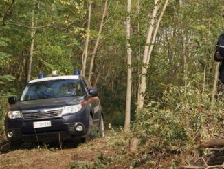 Spacciavano hashish nel parco, arrestati tre tifernati