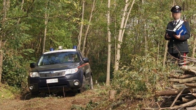 Spacciavano hashish nel parco, arrestati tre tifernati