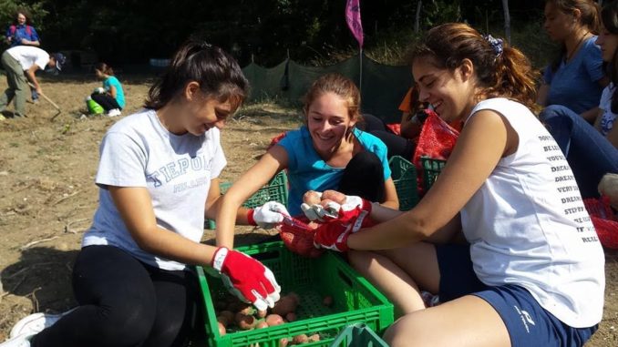 Beni confiscati a Pietralunga, concluso l’iter di destinazione