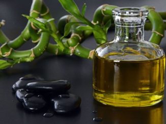 Olio extravergine di oliva mercato della terra degustazioni