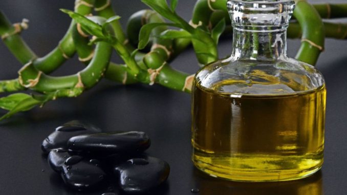 Olio extravergine di oliva mercato della terra degustazioni