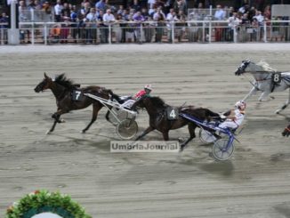Serata all’ippodromo, premi dedicati al comune di Città di Castello