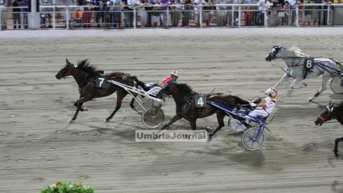 Serata all’ippodromo, premi dedicati al comune di Città di Castello