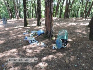 Devastato parco, atti vandalici alla Pineta Ranieri di Umbertide