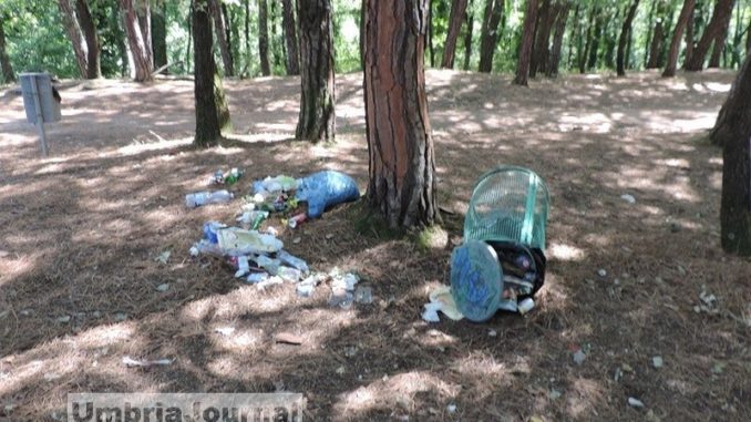 Devastato parco, atti vandalici alla Pineta Ranieri di Umbertide