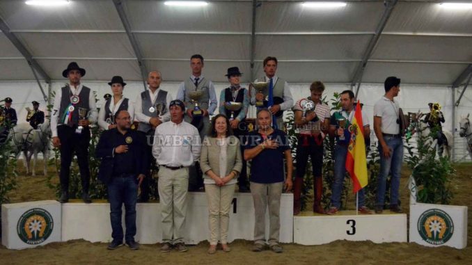 Monta da lavoro tradizionale Mostra Cavallo tribune piene per europeo