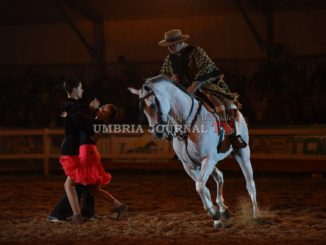 Buon pubblico per la 50esima Mostra del Cavallo nella giornata conclusiva
