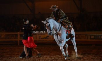 Buon pubblico per la 50esima Mostra del Cavallo nella giornata conclusiva