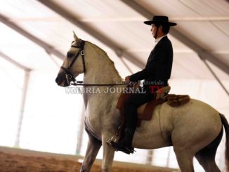 Cominciata la 50esima Mostra Nazionale del Cavallo di Città di Castello