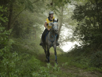 Sport Equestri e salute, sabato alla 50esima Mostra Nazionale del Cavallo