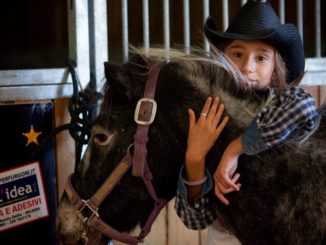 Biglietti scontati per adulti accompagnati da bimbi alla Mostra del Cavallo