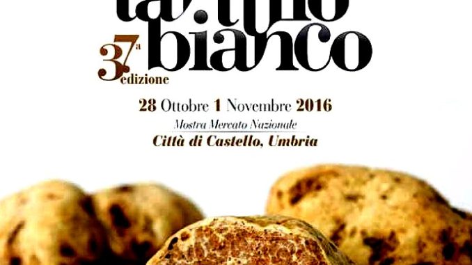 Mostra Nazionale del Tartufo Bianco a Città di Castello