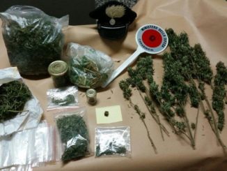 Artigiano arrestato a Città di Castello per detenzione e spaccio di marijuana