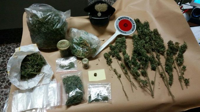 Artigiano arrestato a Città di Castello per detenzione e spaccio di marijuana