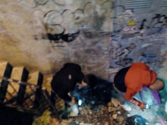 CasaPound, passeggiate notturne a Città di Castello nei parchi