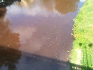 Tevere inquinato, Lega Nord, il fiume ha un colore preoccupante