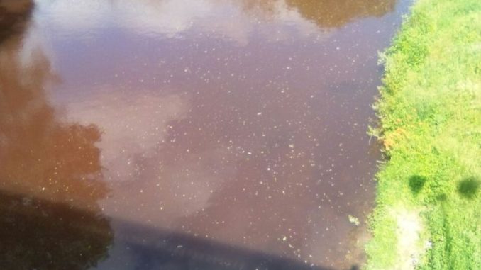 Tevere inquinato, Lega Nord, il fiume ha un colore preoccupante