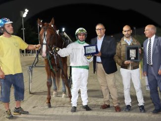 Altotevere all’ippodromo di Cesena, sabato premi dedicati al comune e alla mostra del cavallo