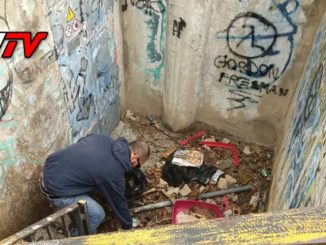 Parco di via Amedeo Corsi pieno di siringhe usate, arriva CasaPound