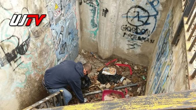 Parco di via Amedeo Corsi pieno di siringhe usate, arriva CasaPound