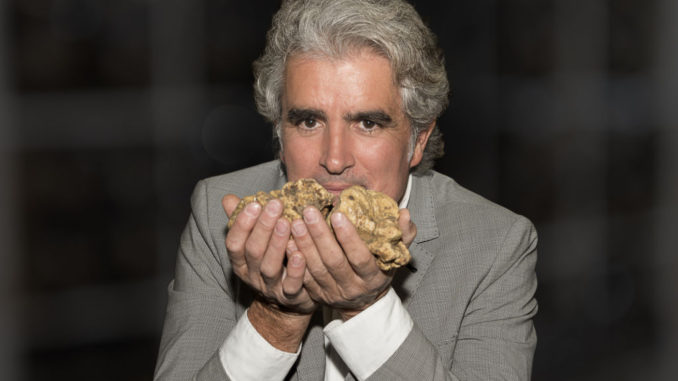 Tartufo bianco di Città di Castello, entra nel vivo il fine settimana