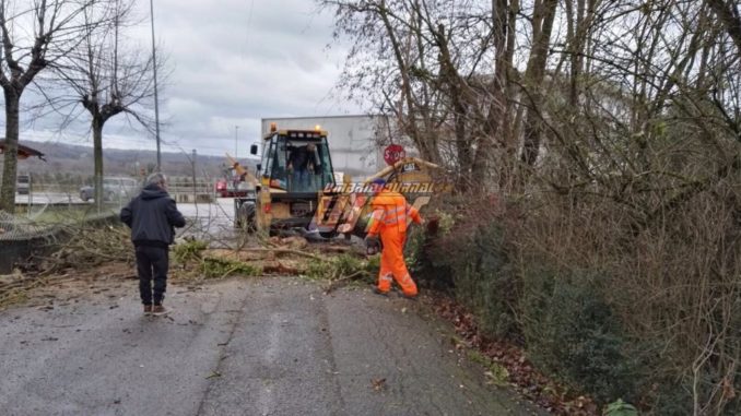 Strade bloccate da alberi caduti a San Secondo e Titta