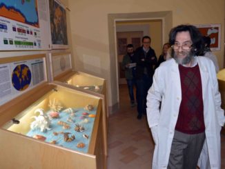 Malakos, il museo delle conchiglie, su Google Arte e Cultura
