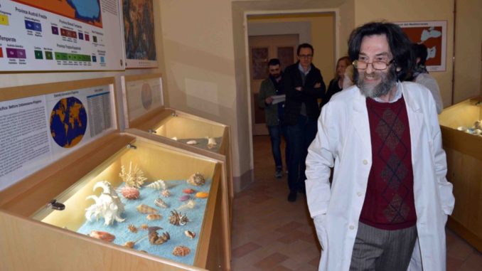 Malakos, il museo delle conchiglie, su Google Arte e Cultura