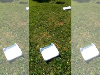 Città di Castello, Parco la Fornace a Riosecco tra degrado, incuria, siringhe e droga